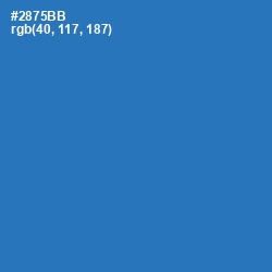 #2875BB - Astral Color Image