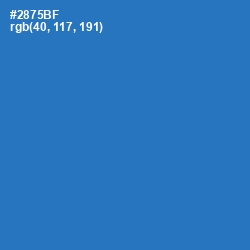 #2875BF - Astral Color Image