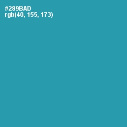 #289BAD - Boston Blue Color Image