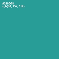#289D98 - Lochinvar Color Image