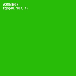 #28BB07 - Forest Green Color Image