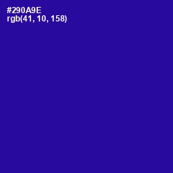 #290A9E - Blue Gem Color Image