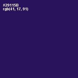 #29115B - Violent Violet Color Image