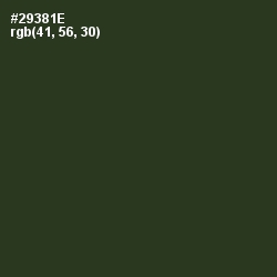 #29381E - Green Kelp Color Image