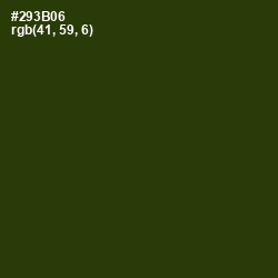 #293B06 - Turtle Green Color Image