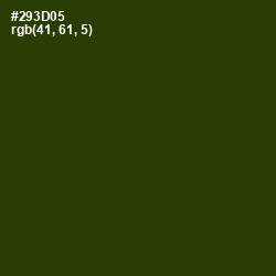 #293D05 - Turtle Green Color Image