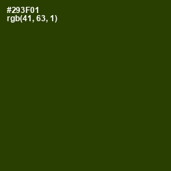 #293F01 - Turtle Green Color Image