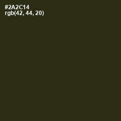 #2A2C14 - Black Olive Color Image