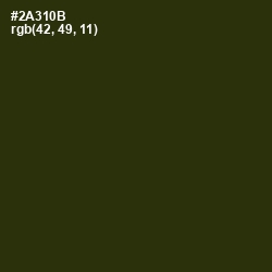 #2A310B - Turtle Green Color Image