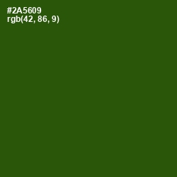 #2A5609 - Green House Color Image