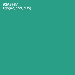 #2A9F87 - Lochinvar Color Image