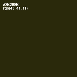 #2B290B - Onion Color Image