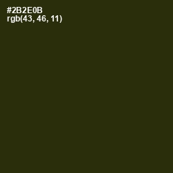 #2B2E0B - Onion Color Image