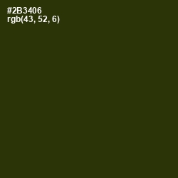 #2B3406 - Turtle Green Color Image