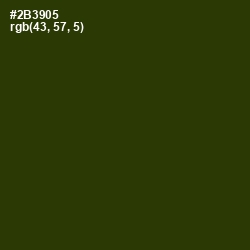 #2B3905 - Turtle Green Color Image