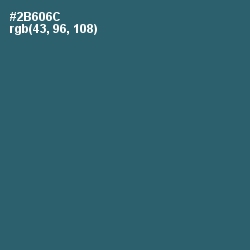 #2B606C - Casal Color Image