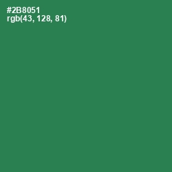 #2B8051 - Sea Green Color Image