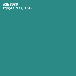 #2B8986 - Lochinvar Color Image