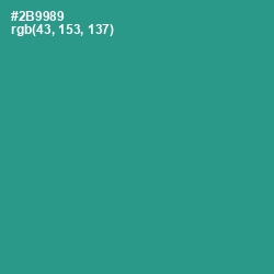 #2B9989 - Lochinvar Color Image