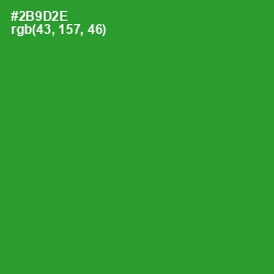 #2B9D2E - Forest Green Color Image
