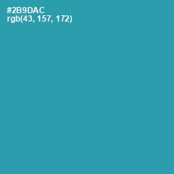 #2B9DAC - Boston Blue Color Image