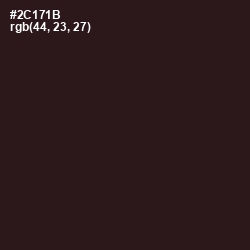 #2C171B - Gondola Color Image