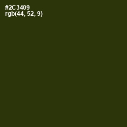 #2C3409 - Turtle Green Color Image