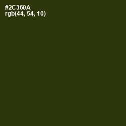 #2C360A - Turtle Green Color Image