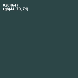 #2C4647 - Plantation Color Image