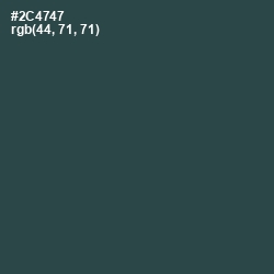 #2C4747 - Plantation Color Image