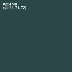 #2C4748 - Plantation Color Image