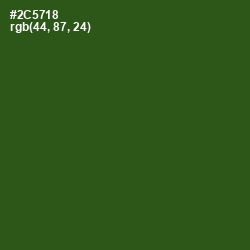 #2C5718 - Green House Color Image