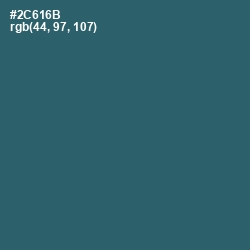 #2C616B - Casal Color Image