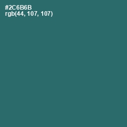 #2C6B6B - Casal Color Image