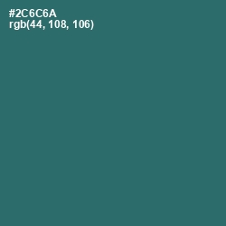 #2C6C6A - Casal Color Image