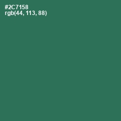 #2C7158 - Amazon Color Image