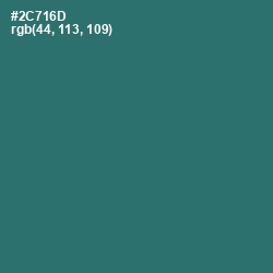 #2C716D - Oracle Color Image