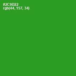 #2C9D22 - Forest Green Color Image