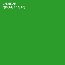 #2C9D2B - Forest Green Color Image