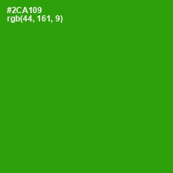 #2CA109 - La Palma Color Image