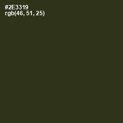 #2E3319 - Green Kelp Color Image