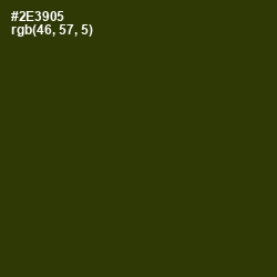 #2E3905 - Turtle Green Color Image