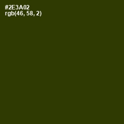 #2E3A02 - Turtle Green Color Image