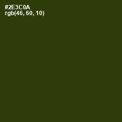 #2E3C0A - Turtle Green Color Image