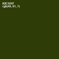 #2E3D07 - Turtle Green Color Image