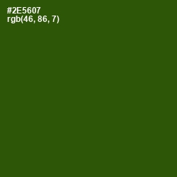 #2E5607 - Green House Color Image