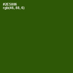 #2E5806 - Green House Color Image