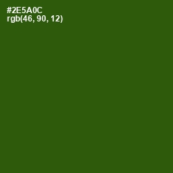 #2E5A0C - Green House Color Image