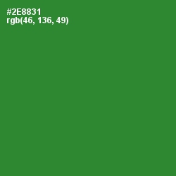 #2E8831 - Forest Green Color Image