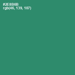 #2E8B6B - Eucalyptus Color Image